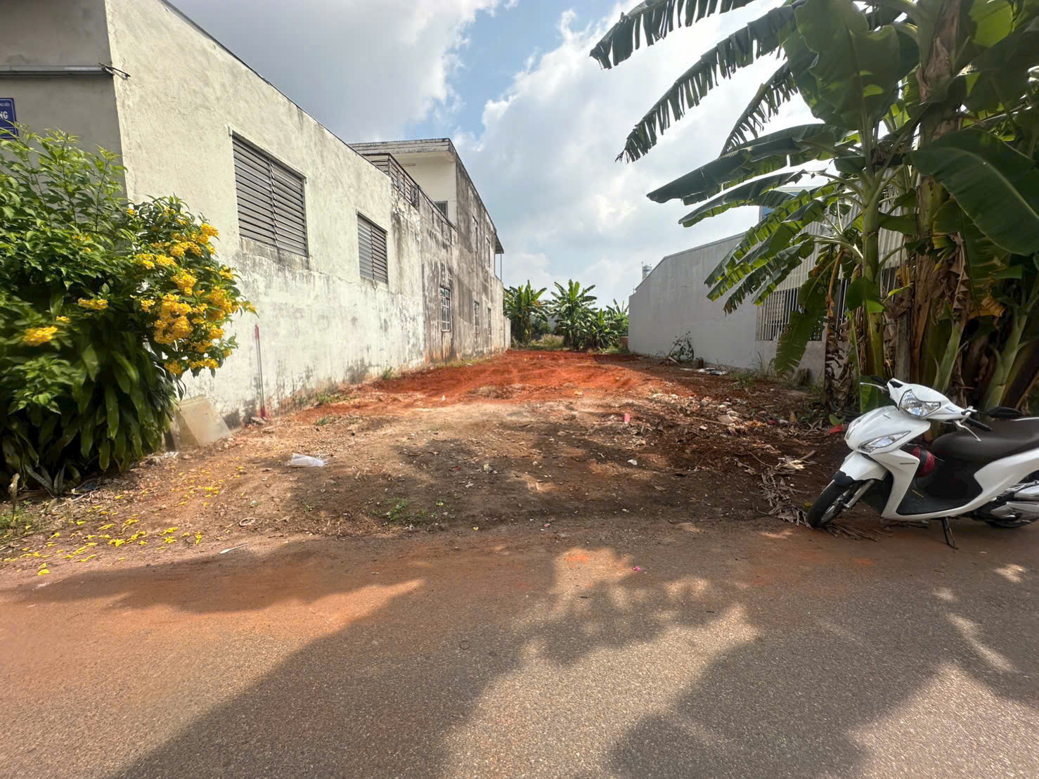 Bán Đất Mặt Tiền Đường Số 31 - Hoà Long - Bà Rịa